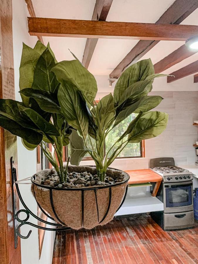 Cabinas Montesol Puerto Viejo de Talamanca Екстериор снимка